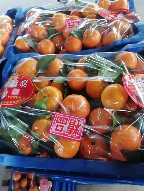 团购风口下，我只想守住舌尖上的底线