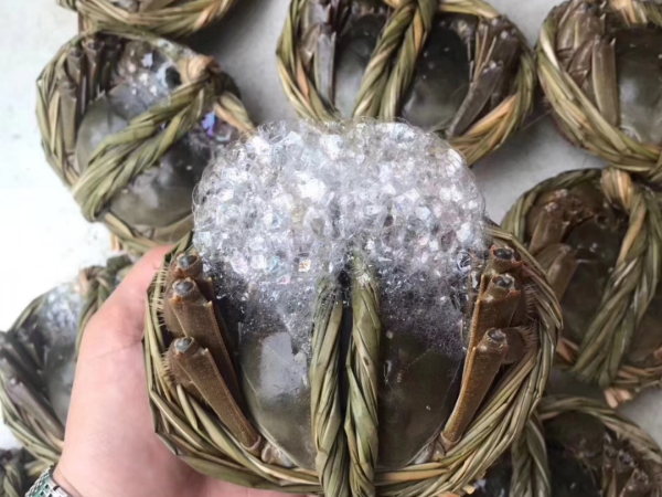 响水县广本水产品门市部 高端海鲜团购，鲜动全城的品质之选
